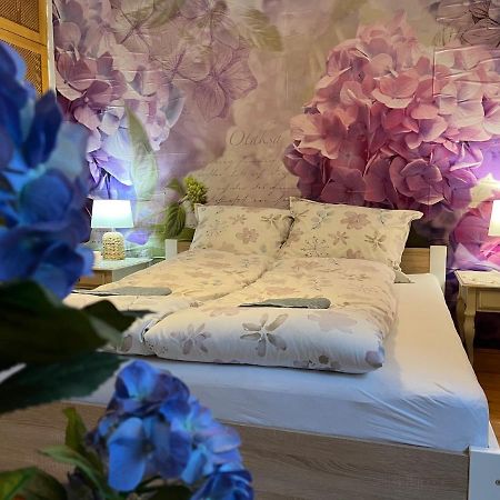 Tulipan Villa Panzio Сольнок Экстерьер фото